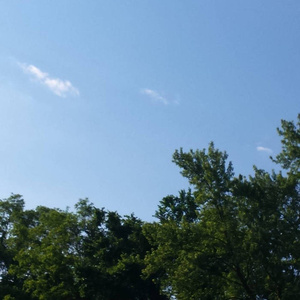 免费的黄漫❌18禁视频
