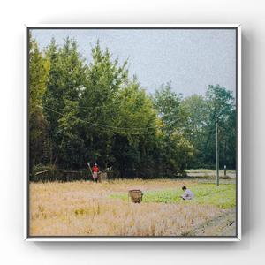 免费的黄漫❌18禁视频
